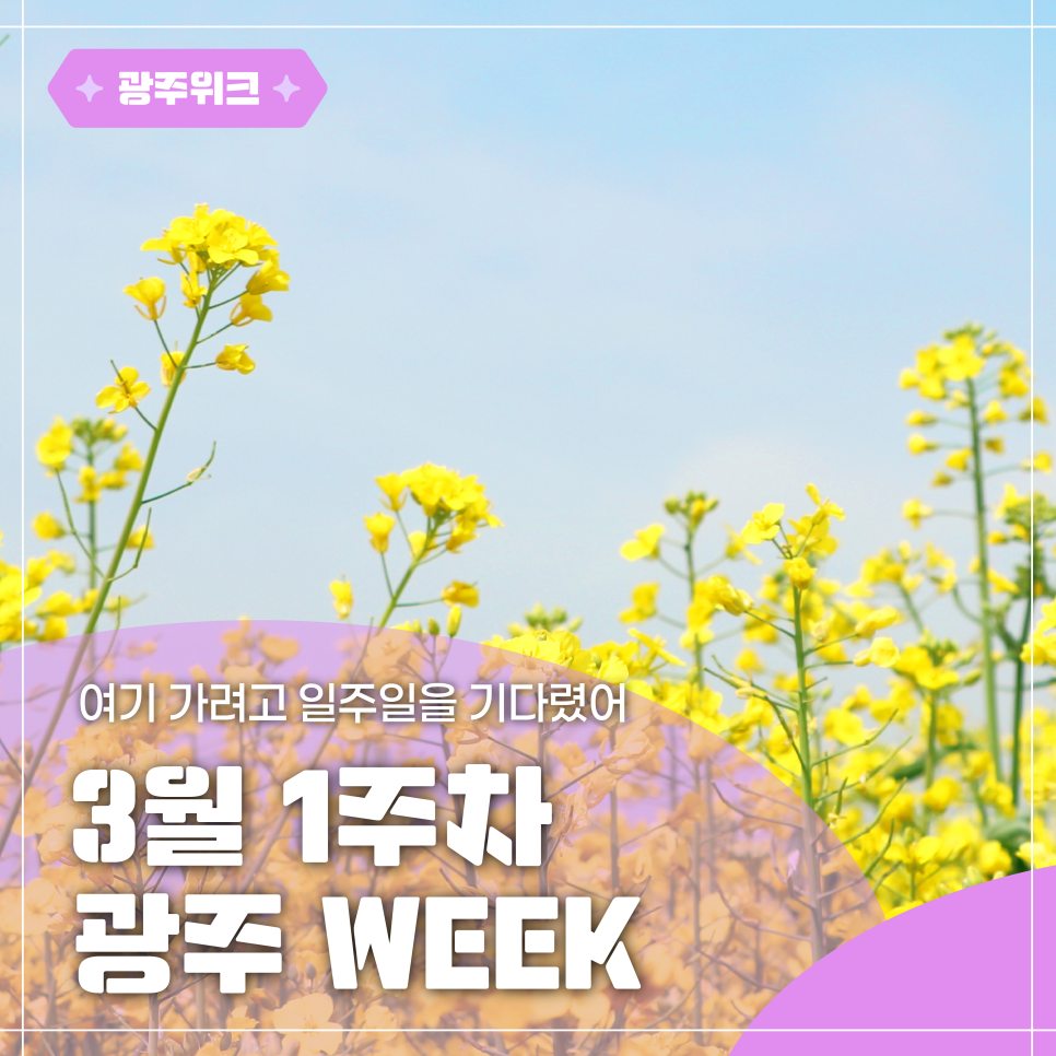 3월1주차 광주위크