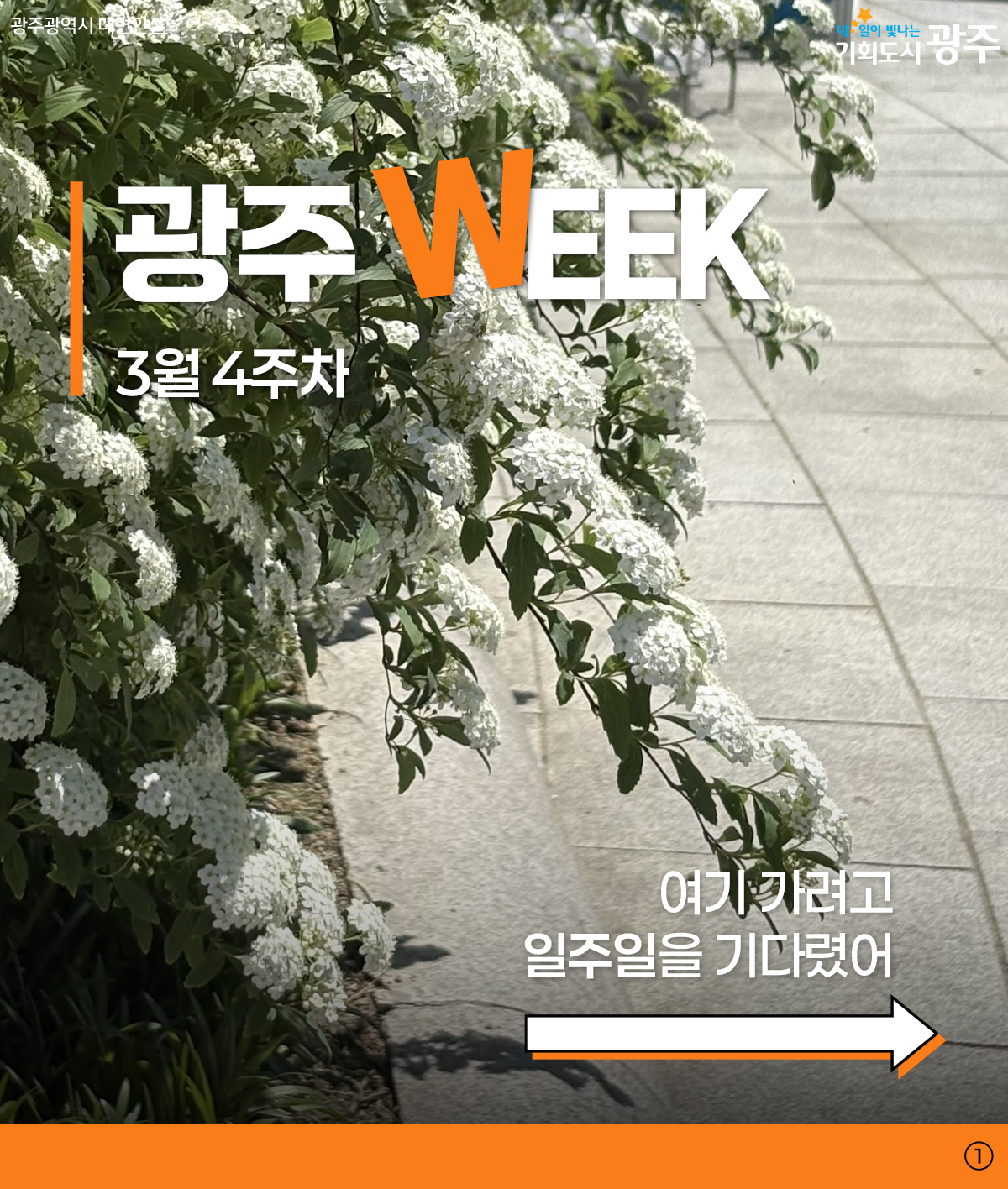 광주 WEEK 3월 4주차 여기 가려고 일주일을 기다렸어