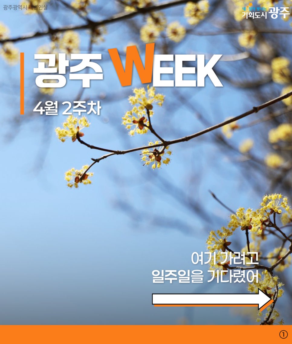 4월2주차 광주 WEEK