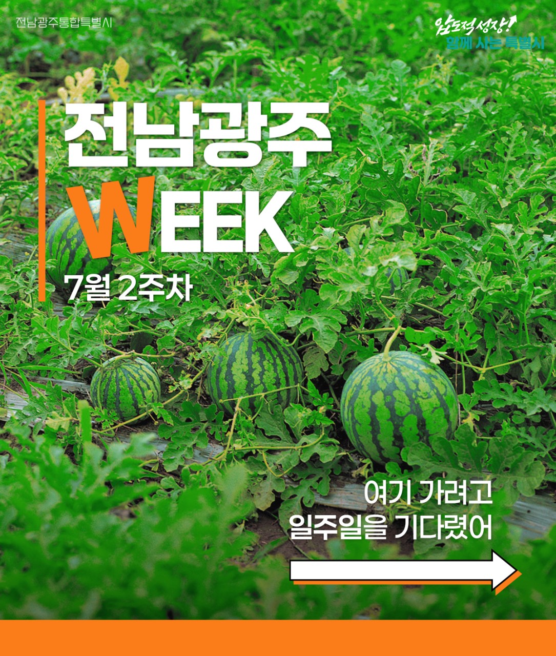 전남광주 WEEK 7월 2주차