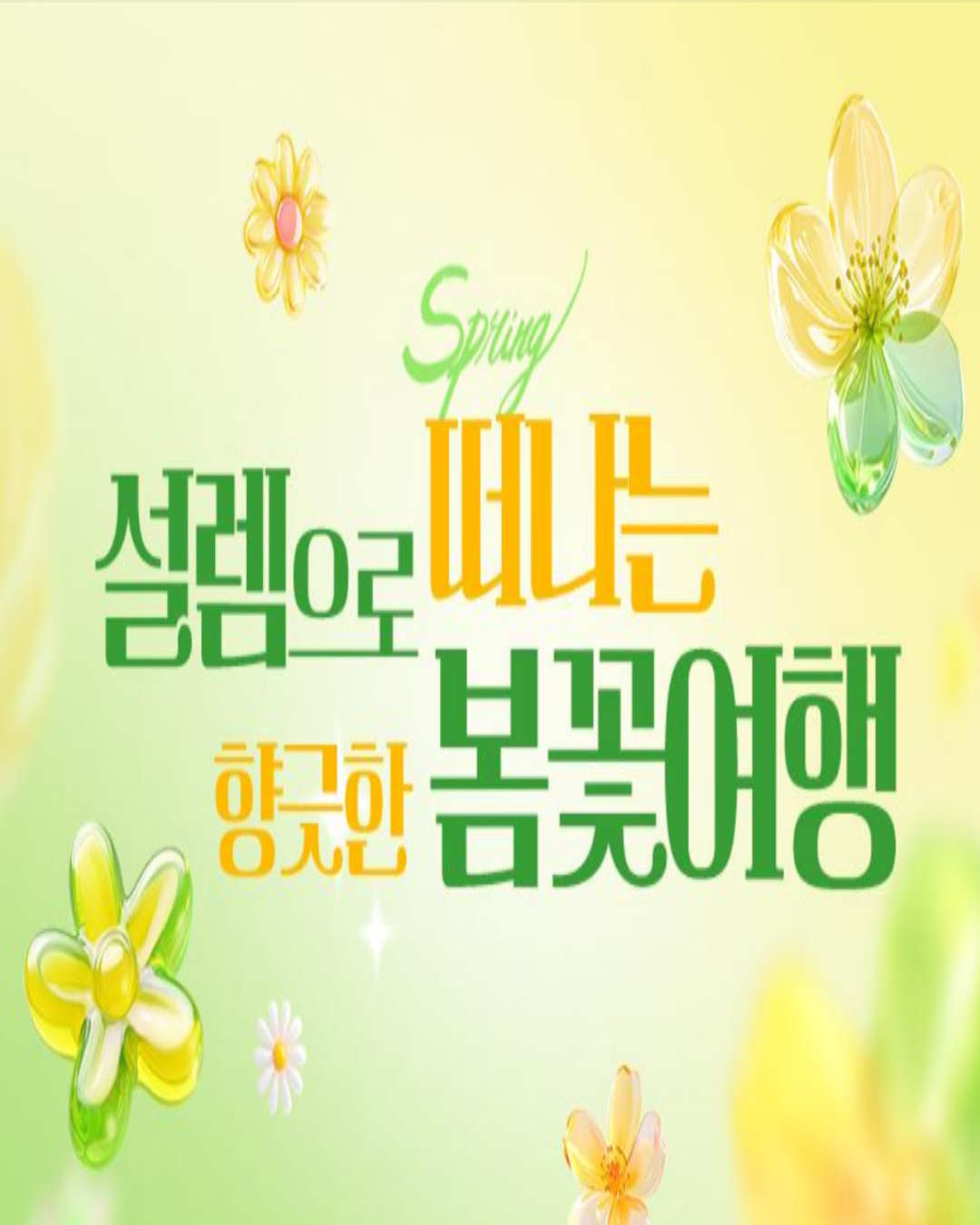 설렘으로 떠나는 향긋한 봄꽃여행